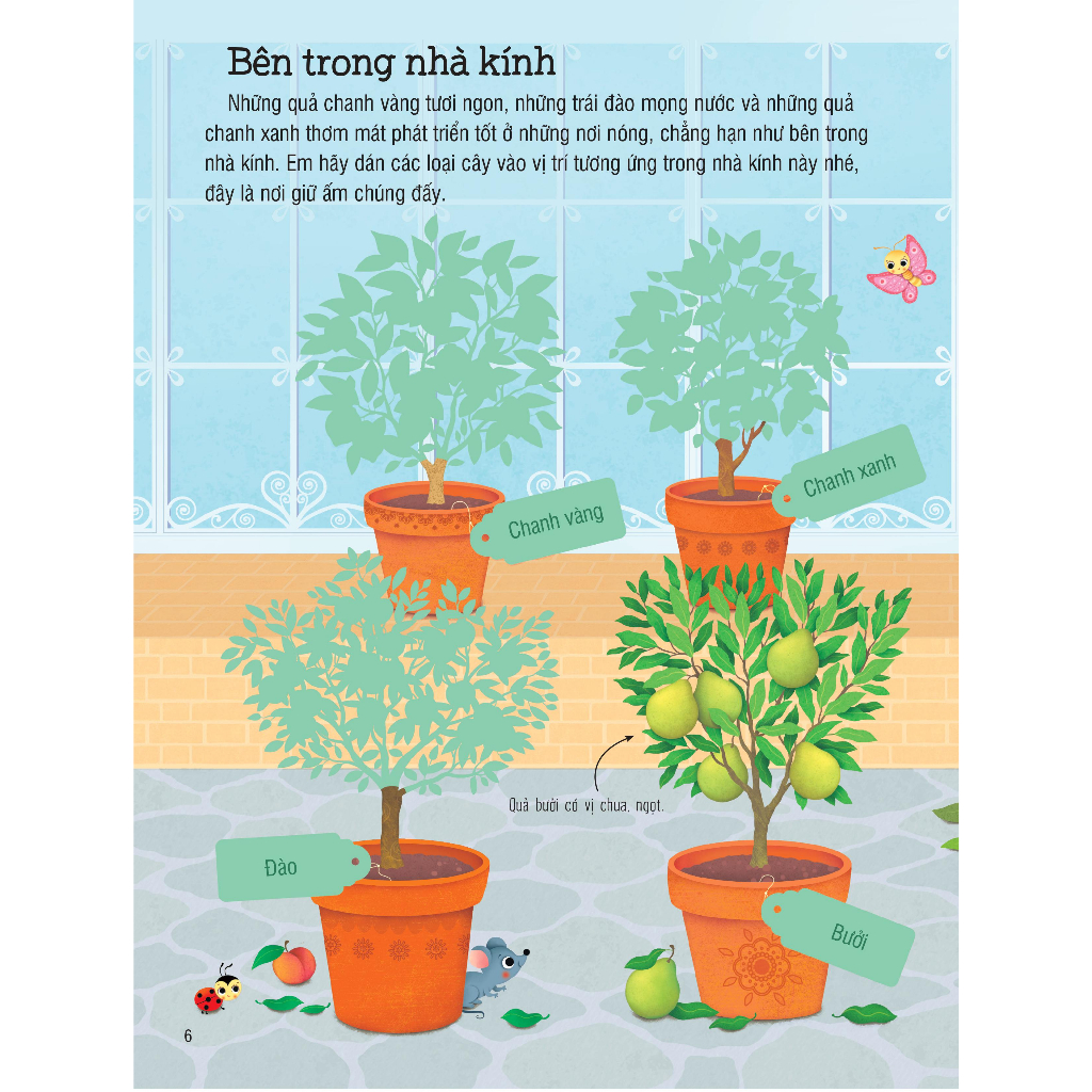 First Sticker Book - Sách Dán Hình Đầu Đời Cho Bé - Trái Cây Và Rau Củ