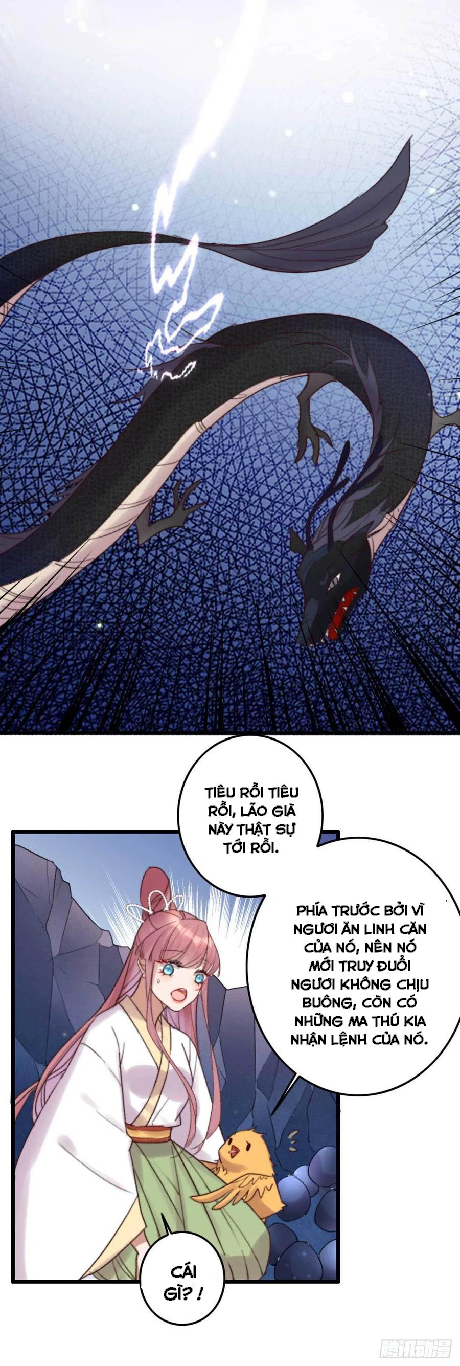 đế tôn cuồng sủng: thần y đặc công phế tài phi chapter 11 19