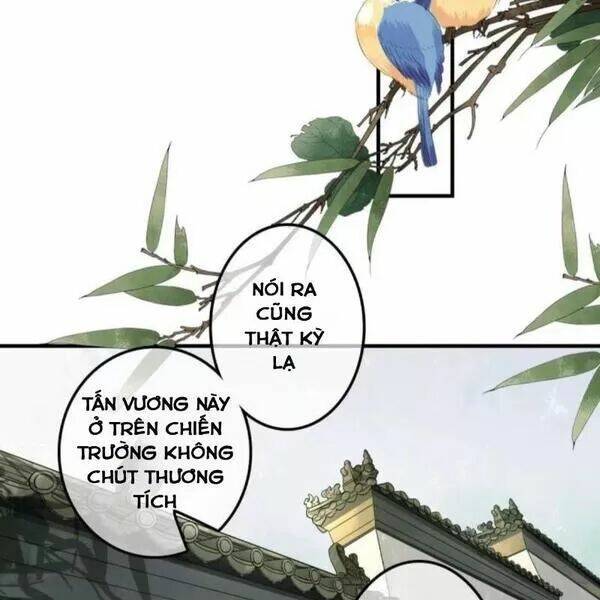 sủng phi của vương chapter 134 12