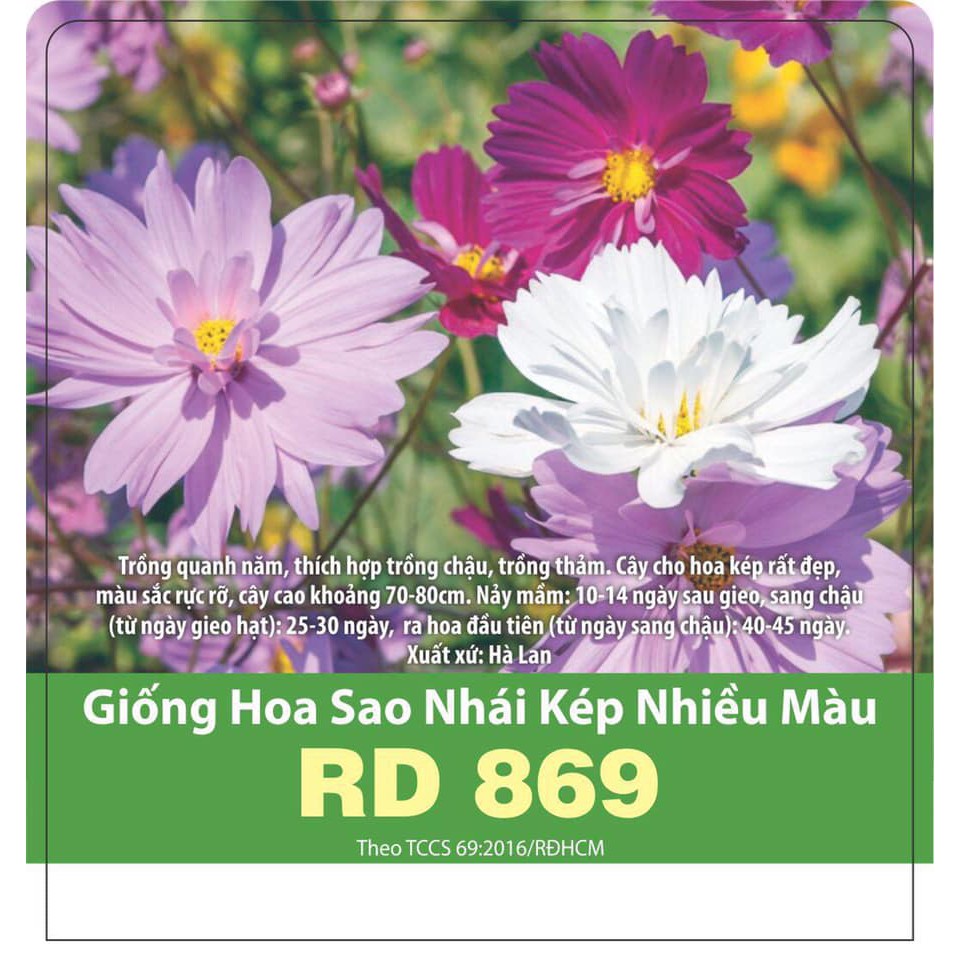 Hạt Giống Hoa Sao Nhái Kép Nhiều Màu Rd 869
