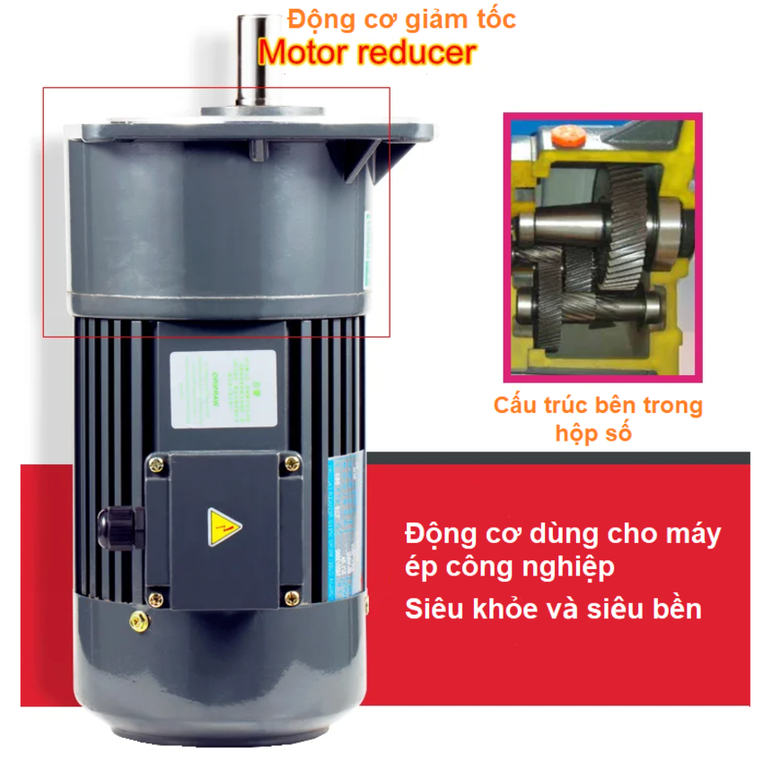 Máy ép dầu thực vật công nghiệp, dùng trong nhà hàng, khách sạn. Thương hiệu Mỹ cao cấp Septree - S9S - HÀNG CHÍNH HÃNG