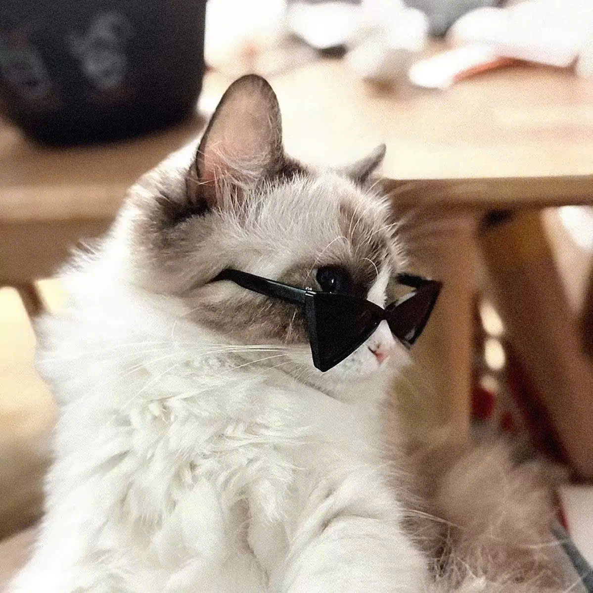 MẮT KÍNH KÍNH RÂM KÍNH MÁT NGỘ NGHĨNH TAM GIÁC SIÊU XINH SANG CHẢNH MÃ 1 CHO THÚ CƯNG CHÓ MÈO