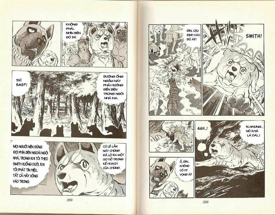 chú chó có nghĩa - ginga nagareboshi gin chapter 18 2