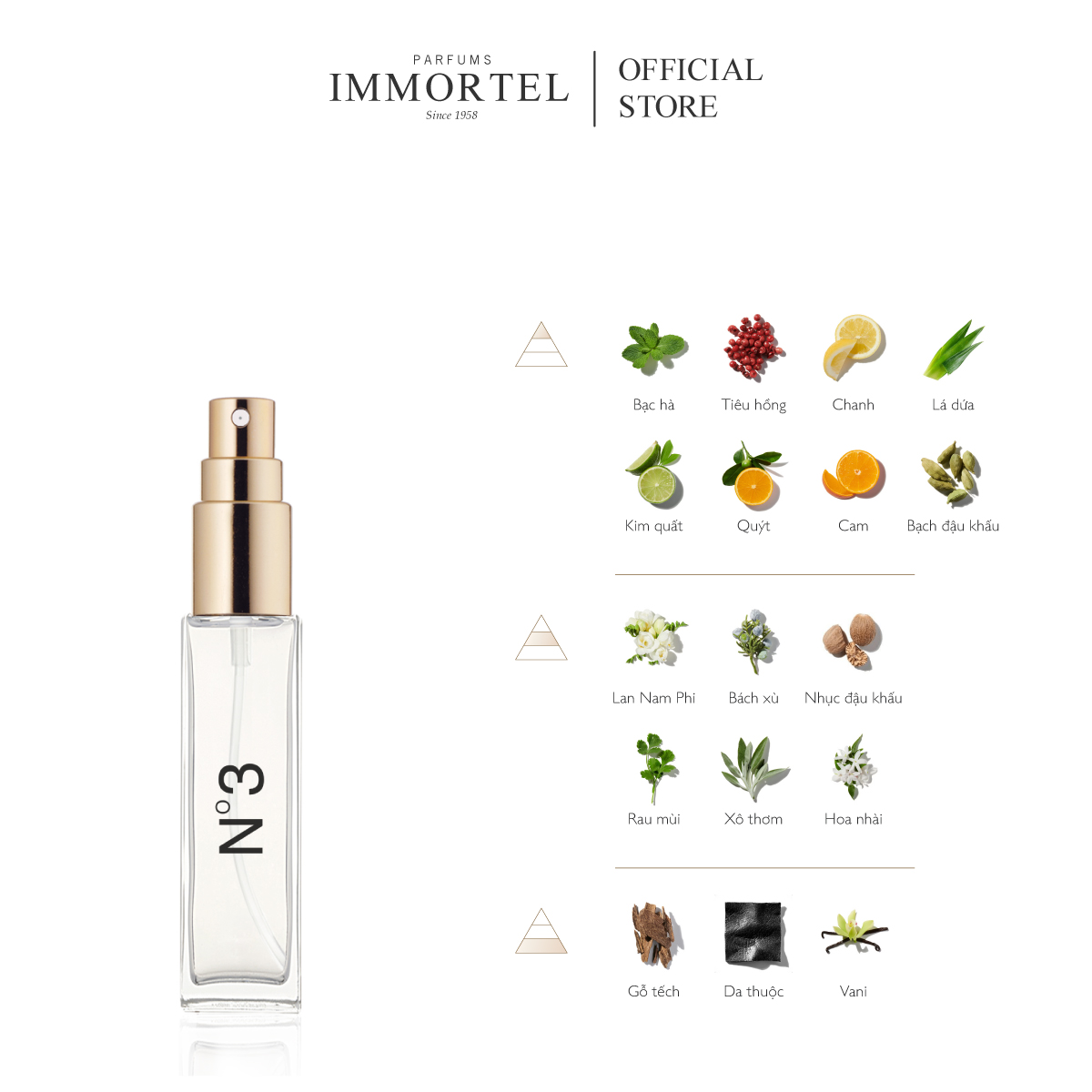 Nước hoa nam IMMORTEL N°3 - 8mL EDP Chính hãng Pháp