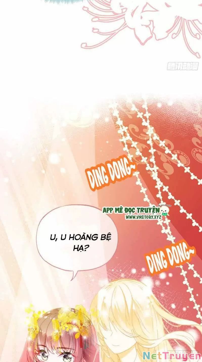 lại bị bệnh chiều chuộng quấn lấy chapter 2 20