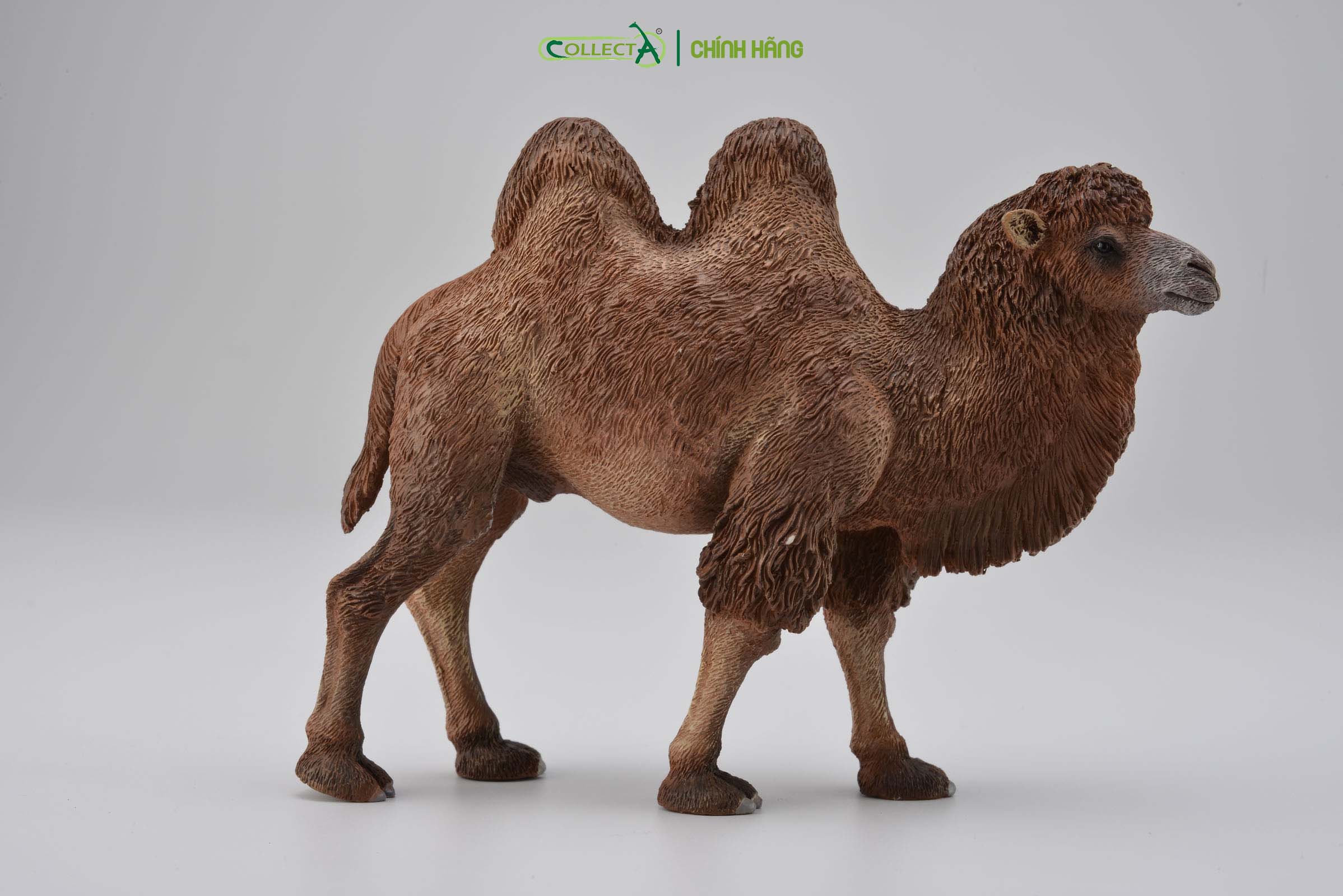 Mô hình thu nhỏ: Lạc Đà - Bactrian Camel, hiệu: CollectA, mã HS 9651180[88807] -  Chất liệu an toàn cho trẻ - Hàng chính hãng