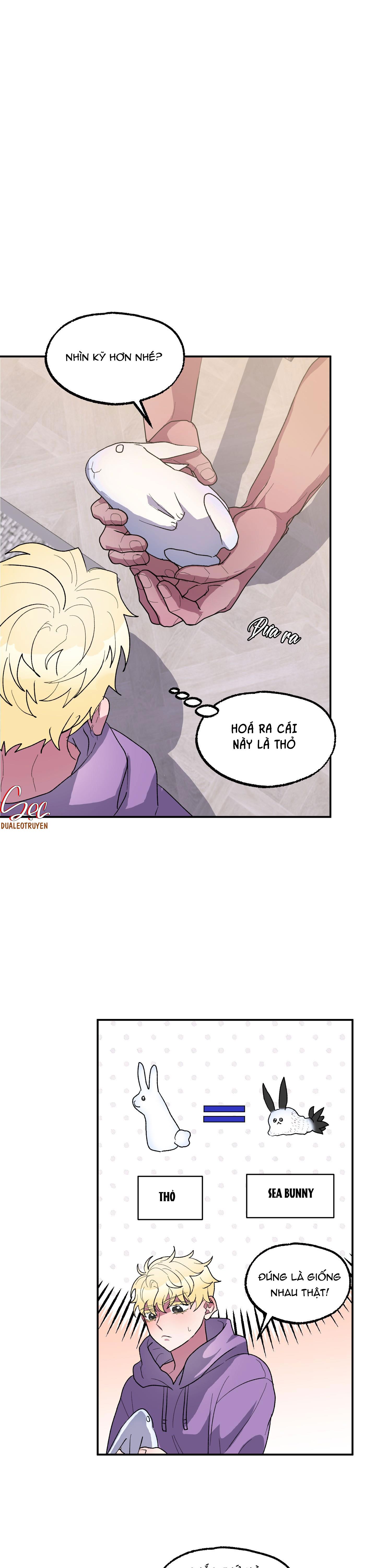 cá mập và cô dâu thỏ chapter 6 16