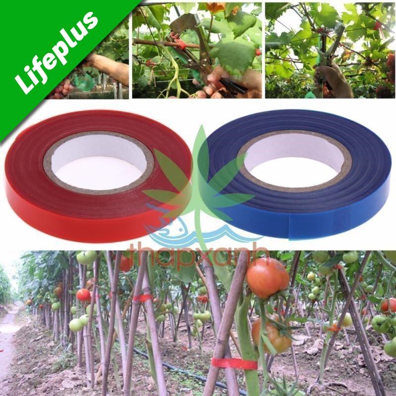 Băng buộc cành bộ 20 cuộn