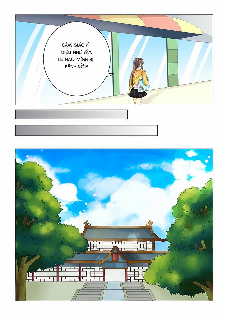 đống phù đã khai quang chapter 31 8