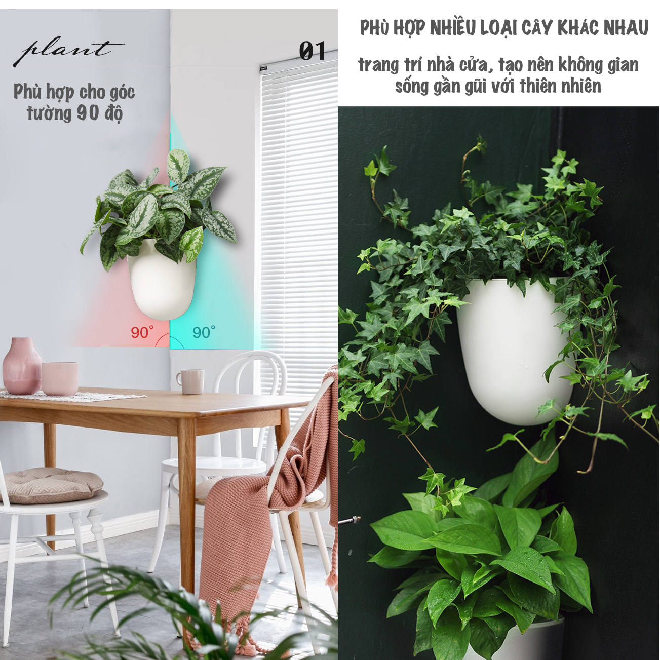 Chậu cây treo tường Oliz K07 - Chậu trồng cây tự tưới, dùng cho tường vuông góc 90 độ