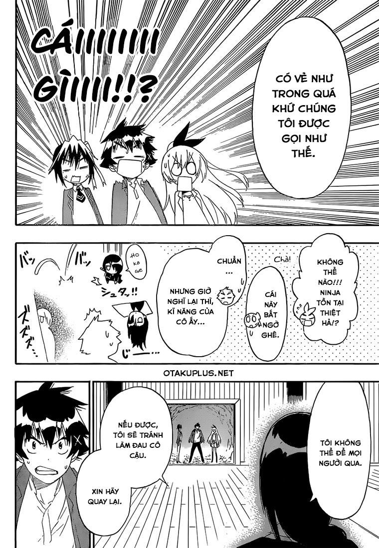 nisekoi - tình yêu giả tạo chapter 184 19