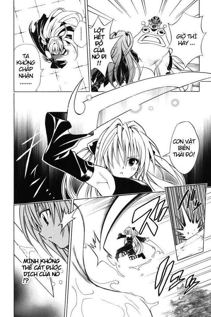 bọn tớ thích cậu! rito chapter 38 8