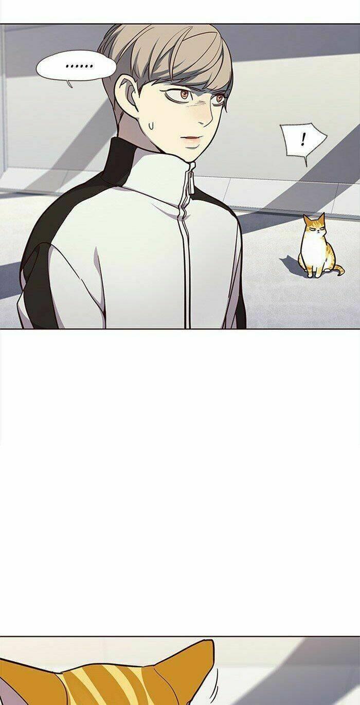 biến thân thành mèo chapter 24 45