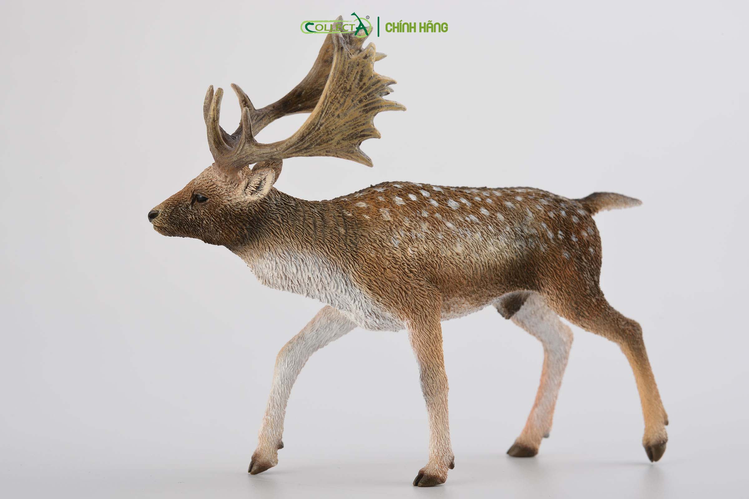 Mô hình thu nhỏ: Hươu - Fallow Deer Male, hiệu: CollectA, mã HS 9651350[88685] -  Chất liệu an toàn cho trẻ - Hàng chính hãng