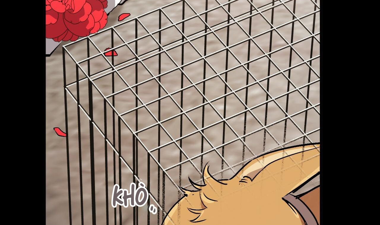 đàn thỏ của habibi chapter 45 125