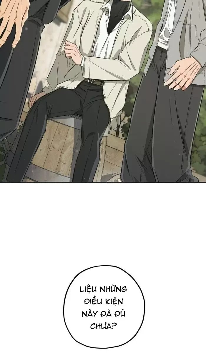 liveta chapter 65 81