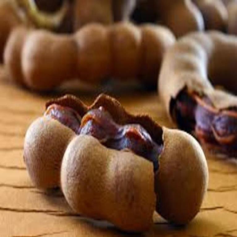Cây giống me thái ngọt cây giống chuẩn cho năng suất cao dễ chăm sóc