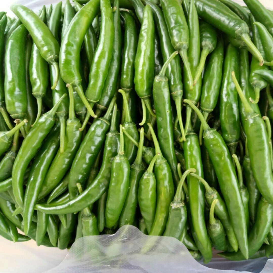 Đặc Sản Bình Thuận -  Combo 3 hộp ớt xiêm xanh ngâm giấm tỏi thơm ngon, hộp nhựa [Nông sản Hoàng Gia]- Ocop 3 Sao