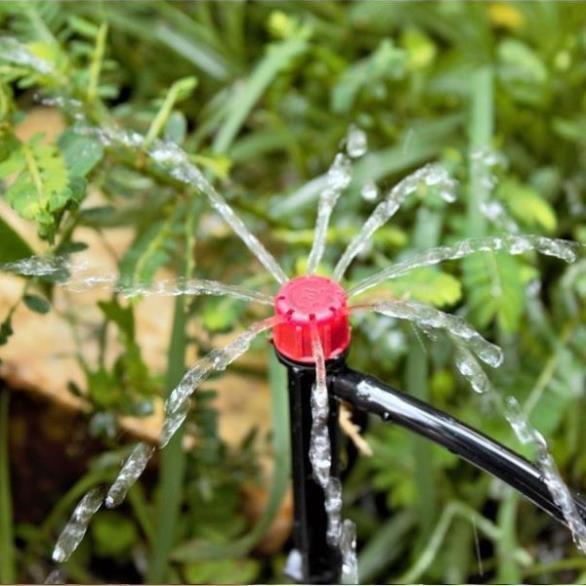 100 đầu nhỏ giọt 8 tia tưới gốc cây 206852