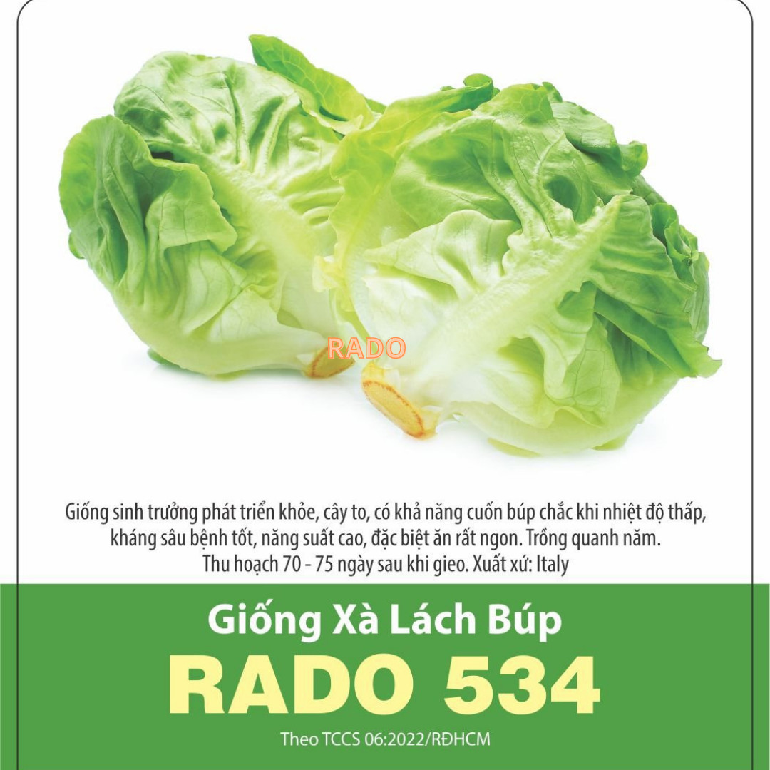 Hạt giống xà lách các loại