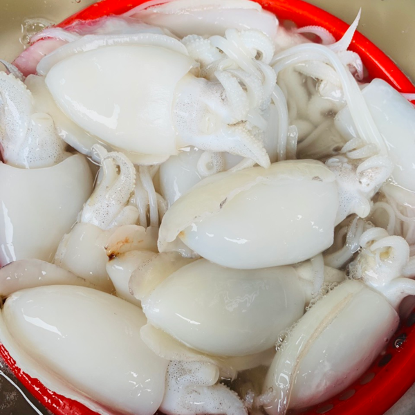 Mực Bầu Baby Khay 500g