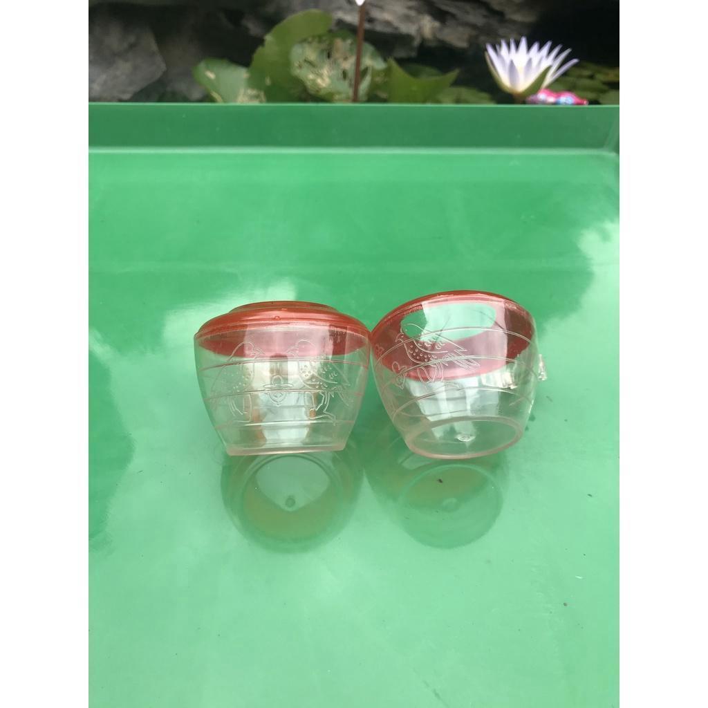1 Cặp cóng ăn đỏ chào mào chất liệu nhựa mica giá rẻ họa tiết siêu đẹp