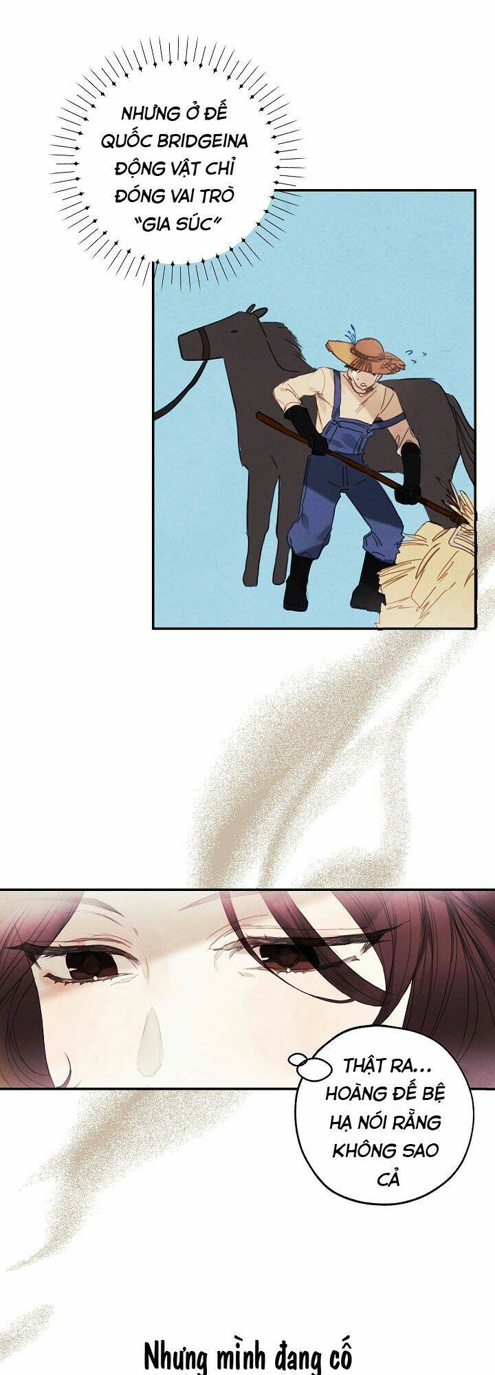 tiệm búp bê của công chúa chapter 5 12