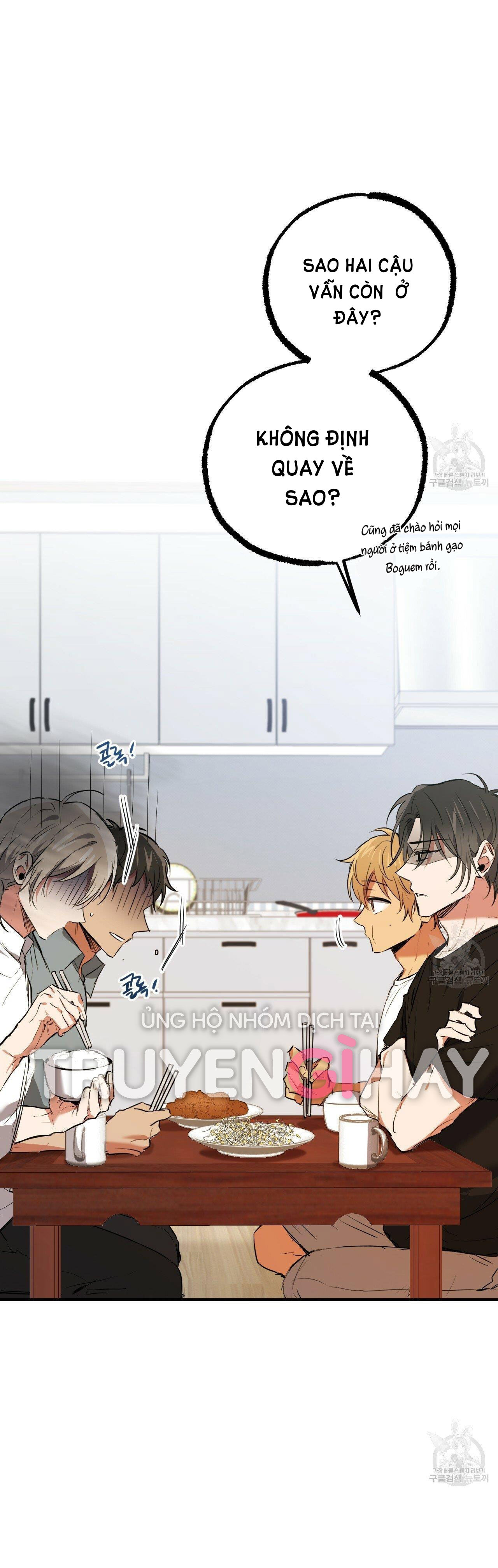 những chú thỏ của hapypy chapter 51.2 6