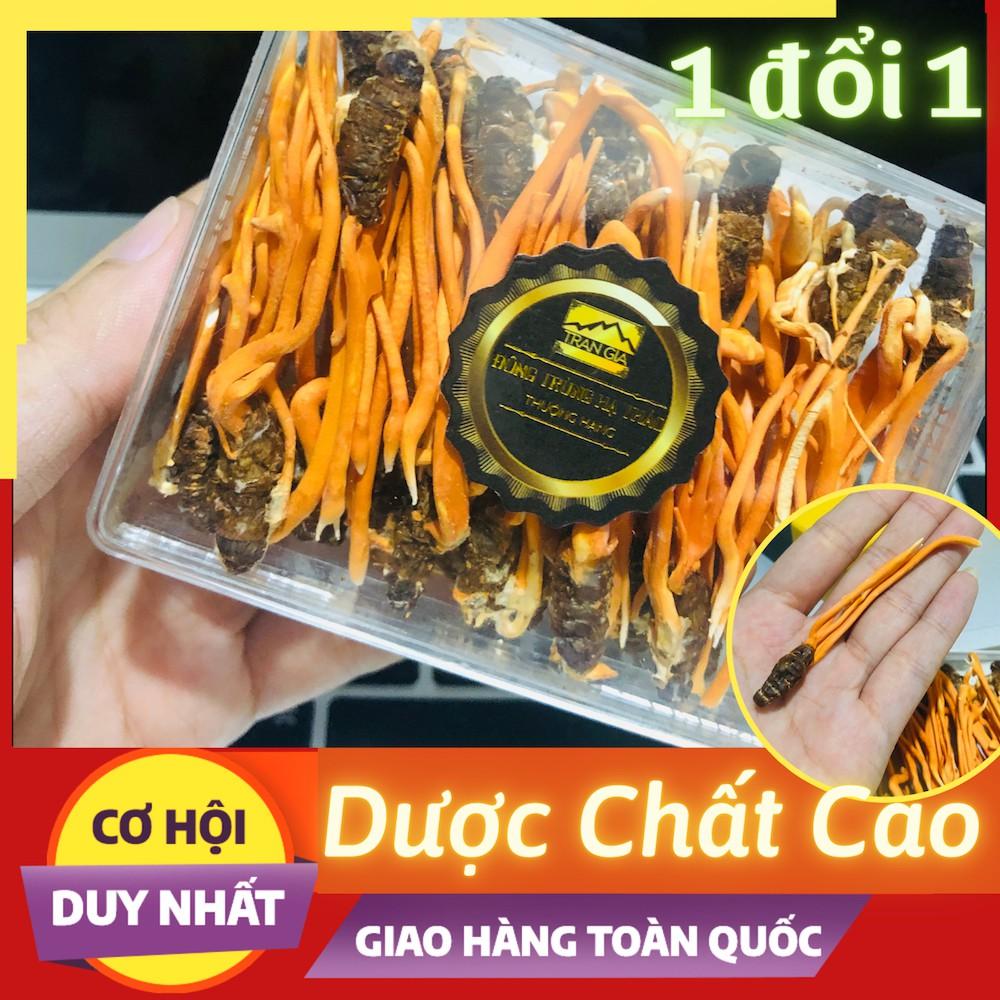 Đông trùng hạ thảo sấy lạnh loại 1