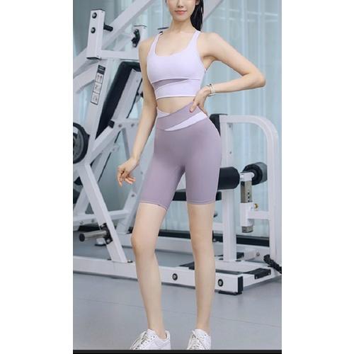 Bộ Tập Yoga Gym Aerobic Nữ Thun Lạnh Cao Cấp