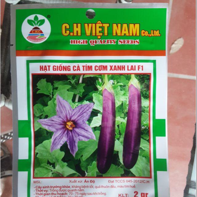 Hạt giống cà tím F1