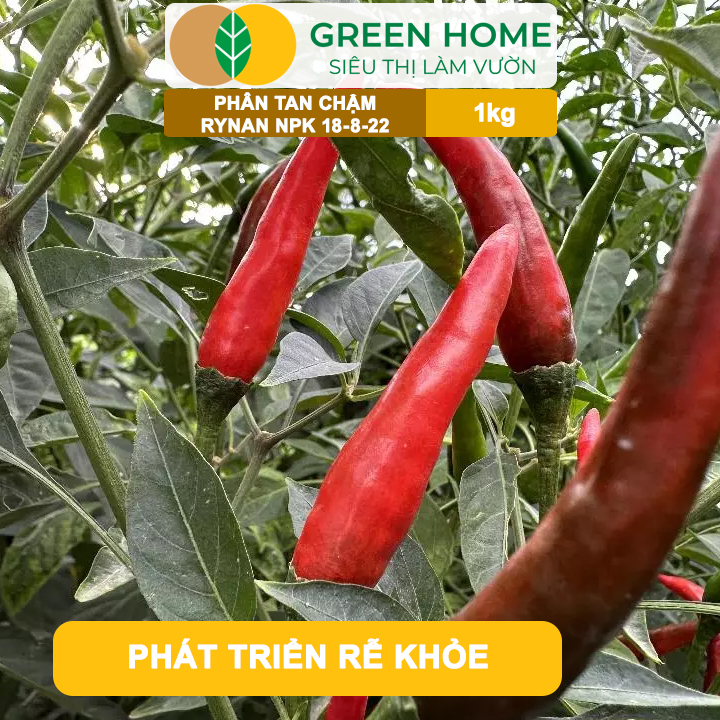 Phân Tan Chậm GreenHome, Rynan NPK 18-8-22, Túi 1kg, Dùng Cho Cây Ăn Trái,Cây Lâu Năm Phục Hồi Nhanh