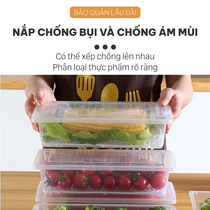 Hộp Nhựa Đựng Thực Phẩm Có Khay Ráo Nước, Trong Suốt Chất Liệu Nhựa PP An Toàn Vệ Sinh Thực Phẩm, Bảo Quản Lâu Hơn