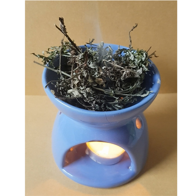 Bếp xông đốt bồ kết chanh sả tươi khử khuẩn không khí (Mầu đất ngẫu nhiên) - CTM01 9cm xanh lá