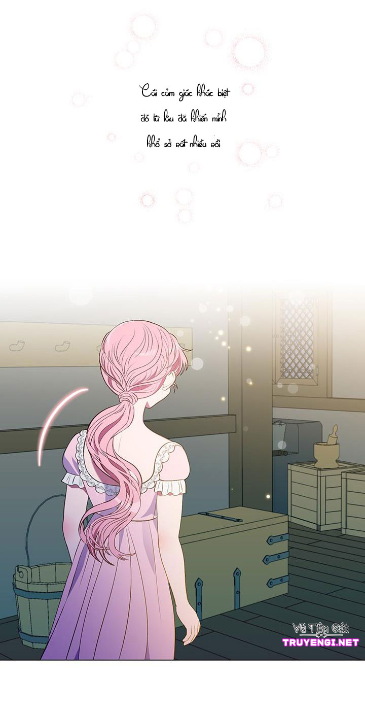 elizabeth chapter 12 19