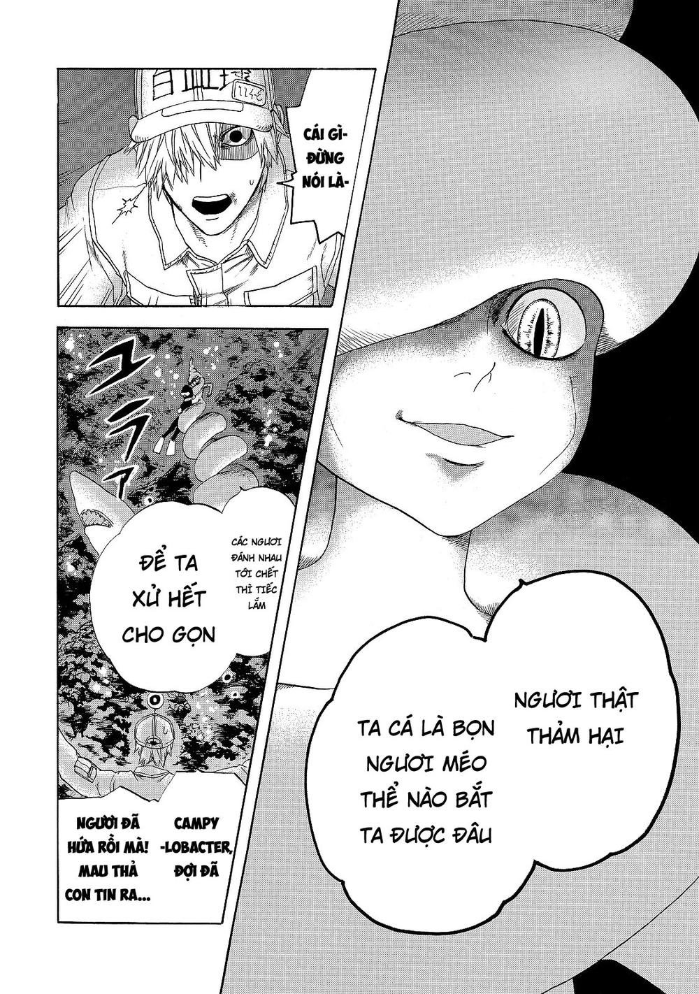 hataraku saibou! chapter 19 14