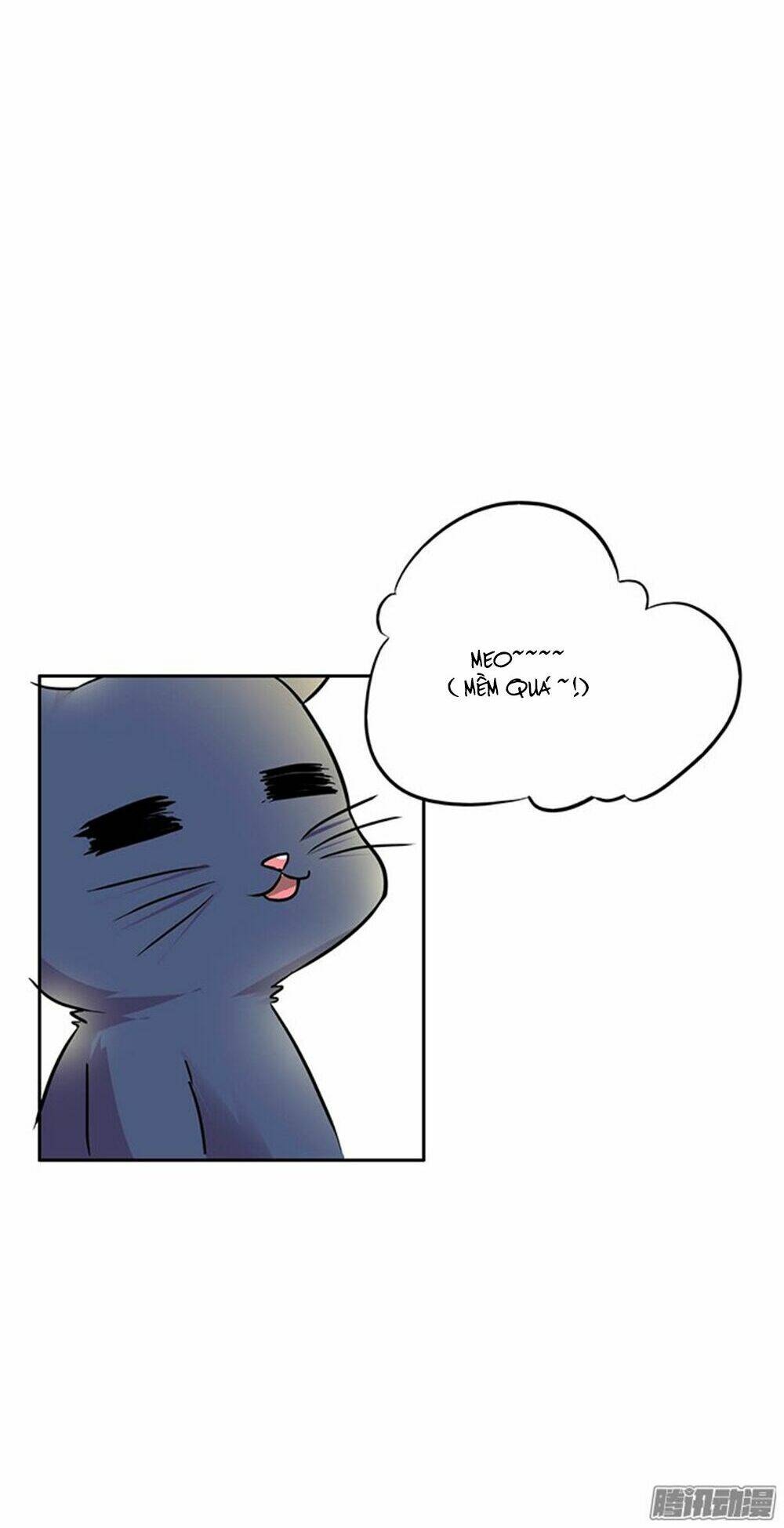 hai chú mèo totem chapter 6 22