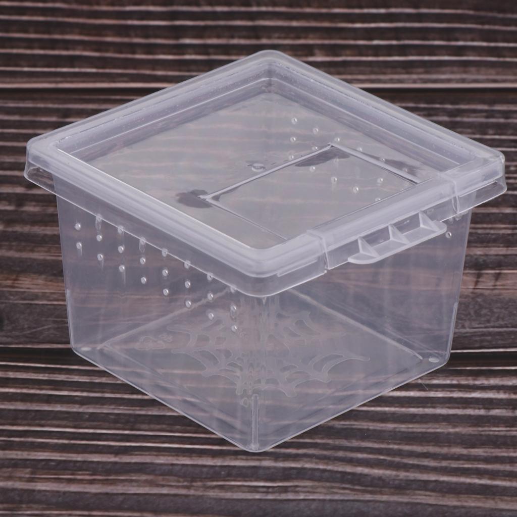 20x Reptile Feeding Container Vivarium Rearing Box for Outing Raise