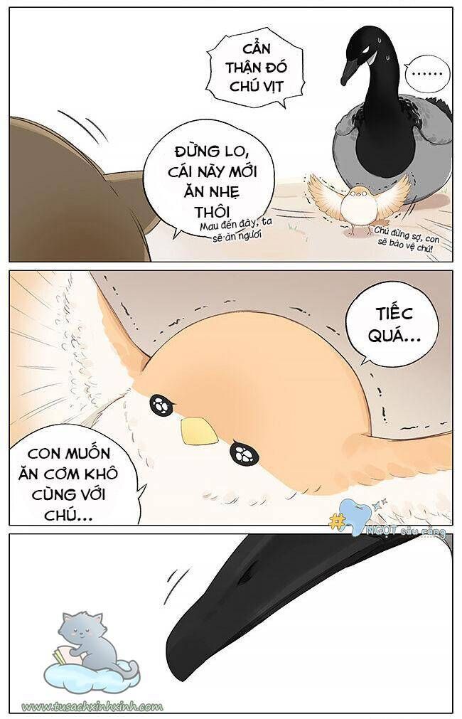 chim sẻ gọi ngỗng trời chapter 4 6