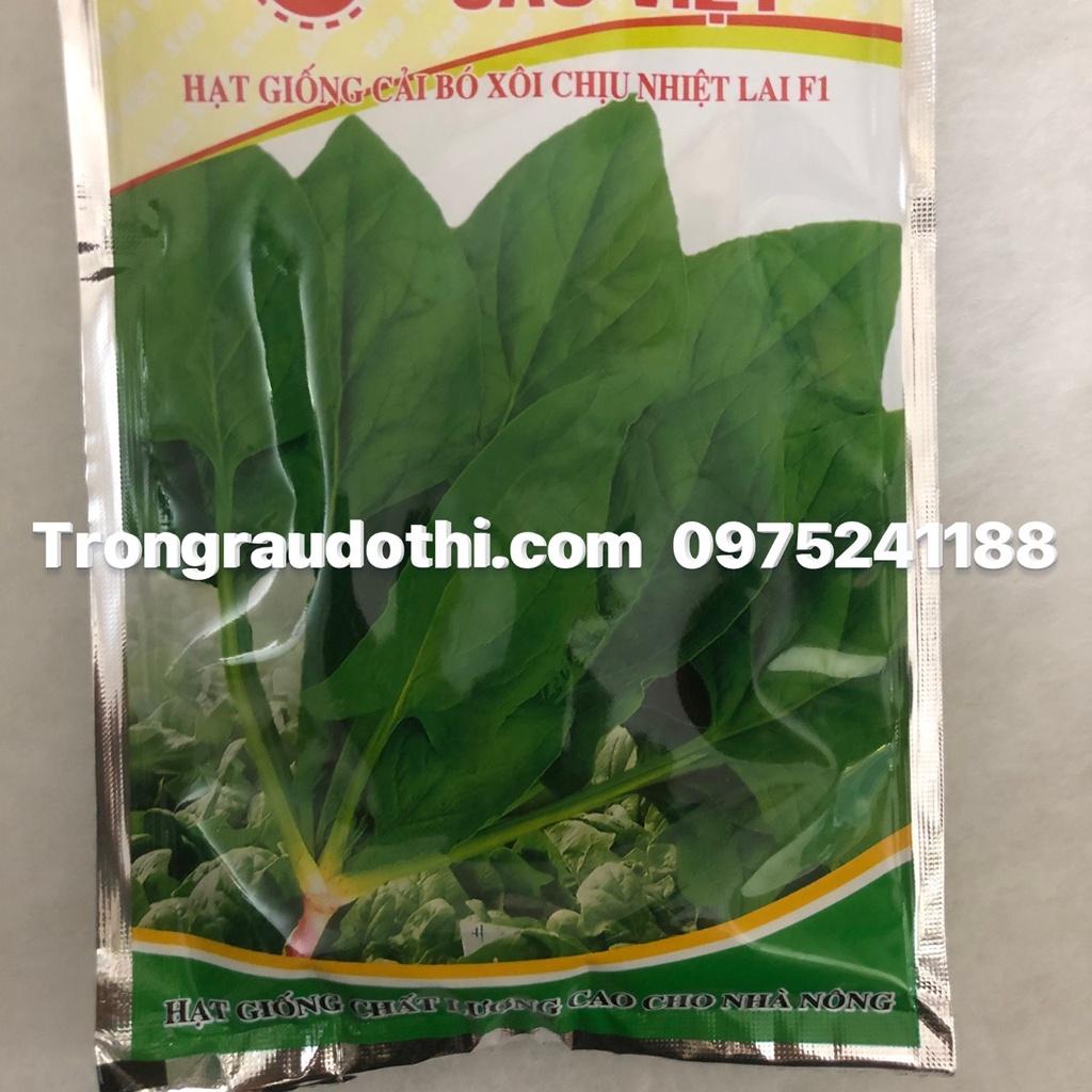 Hạt giống cải bó xôi xanh và đỏ