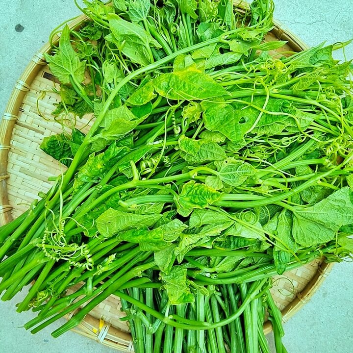 Hạt Giống Bí Siêu Ngọn 10Gram