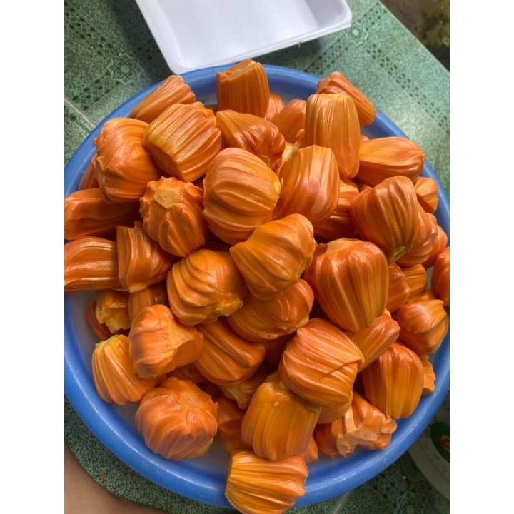 CÂY GIỐNG MÍT LÙN RUỘT ĐỎ