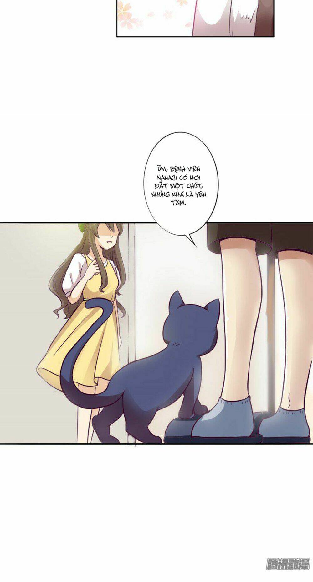 hai chú mèo totem chapter 3 7