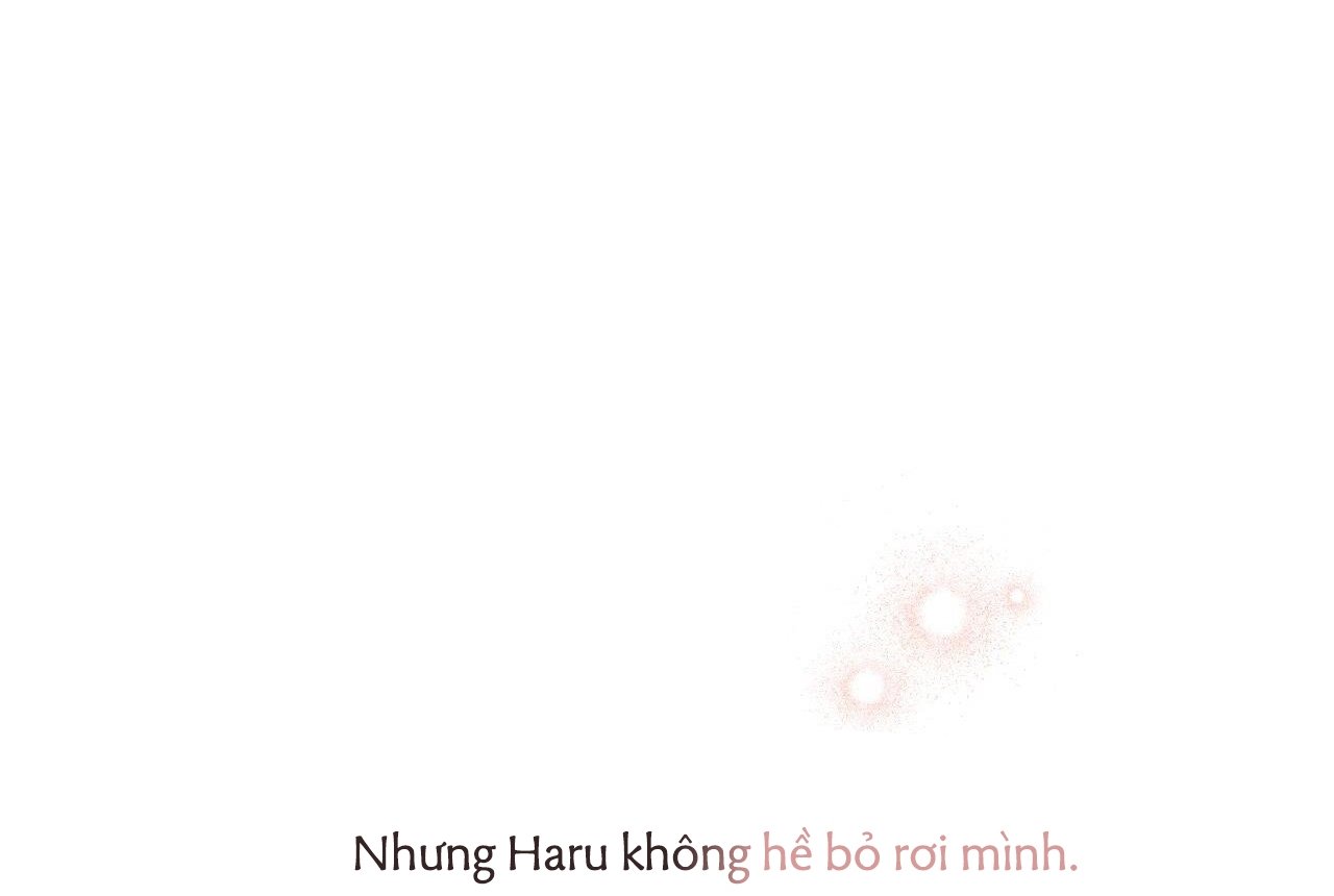 NHỮNG CHÚ THỎ CỦA HAPYPY chapter 65