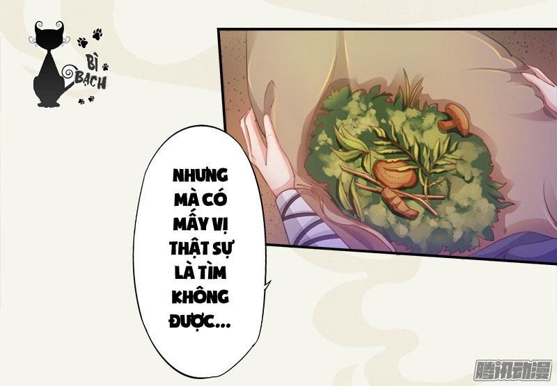 tuyệt thế luyện đan sư chapter 5 6