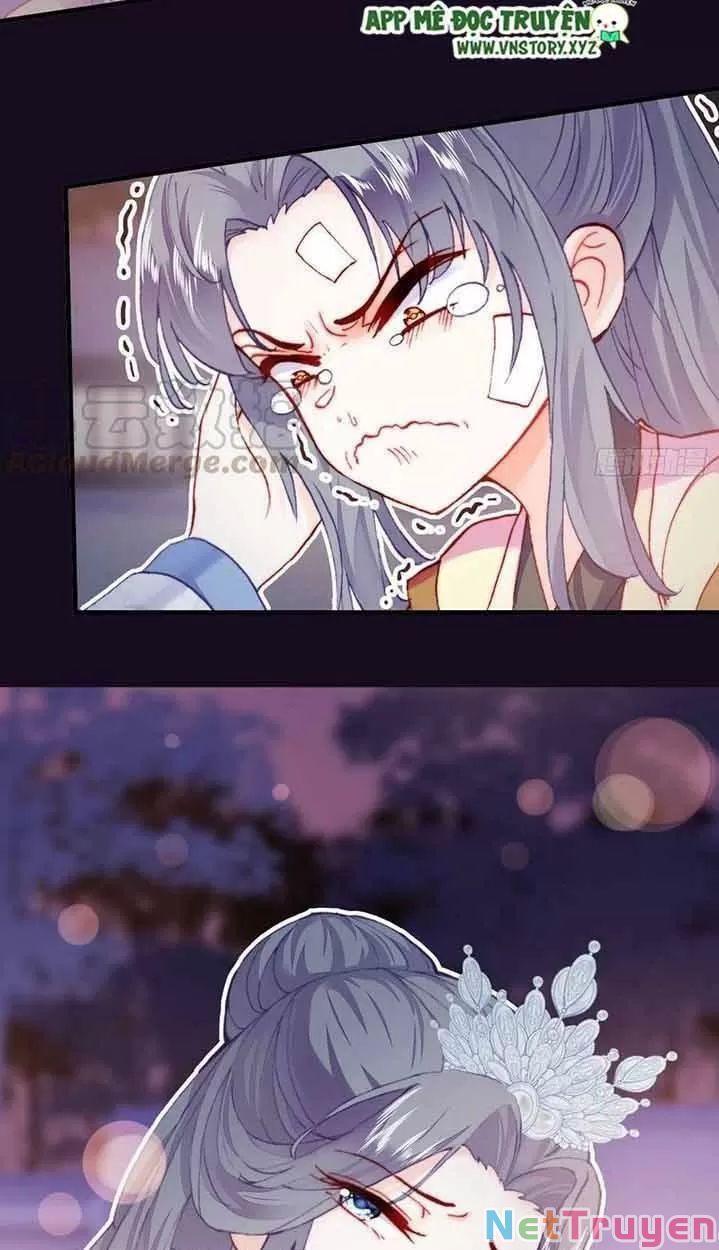 lại bị bệnh chiều chuộng quấn lấy chapter 15 19