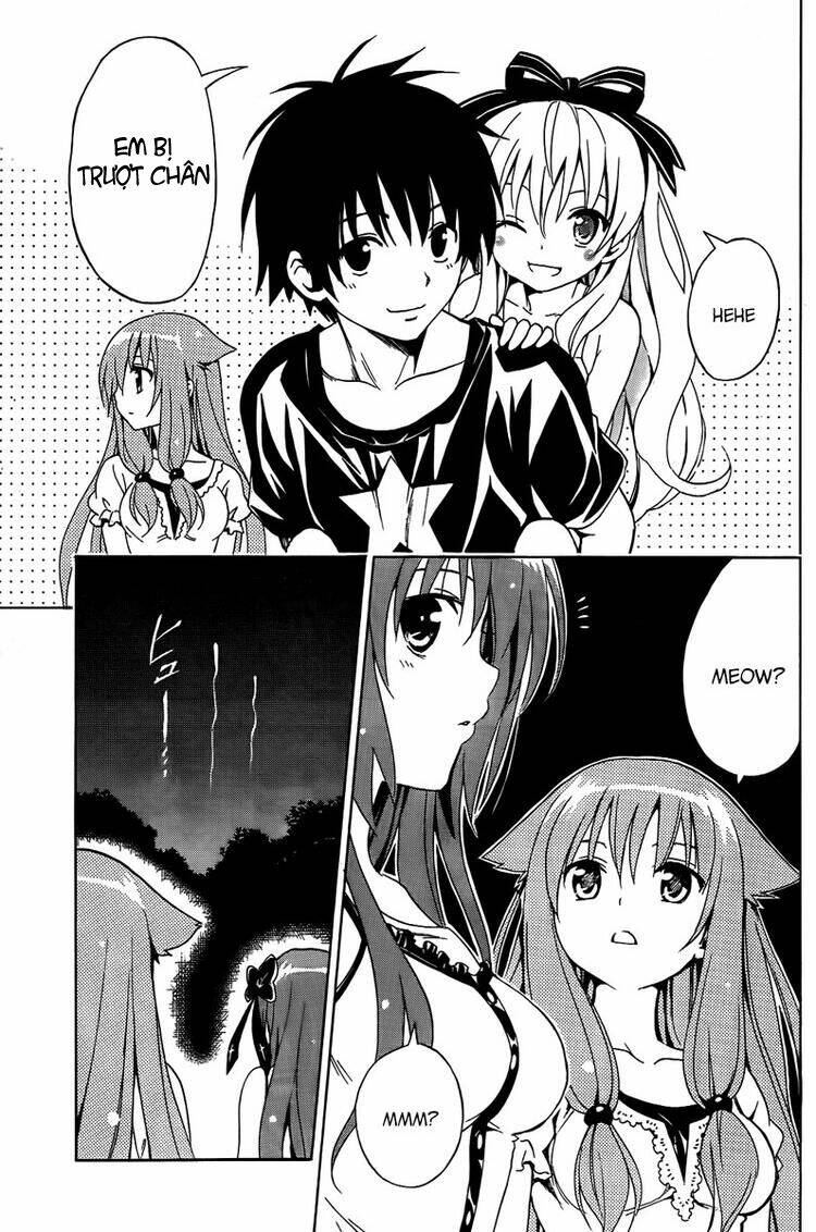 mayoi neko overrun! chapter 5.5 17