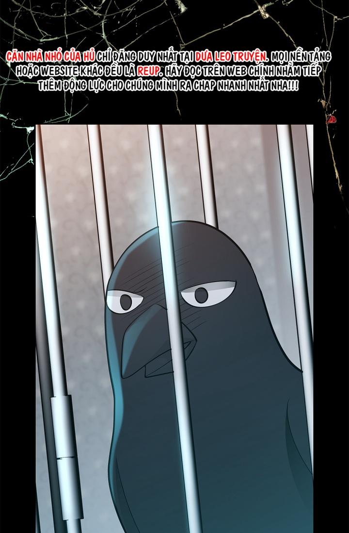 hôn nhân bị đánh cắp của hồ ly chapter 42 56