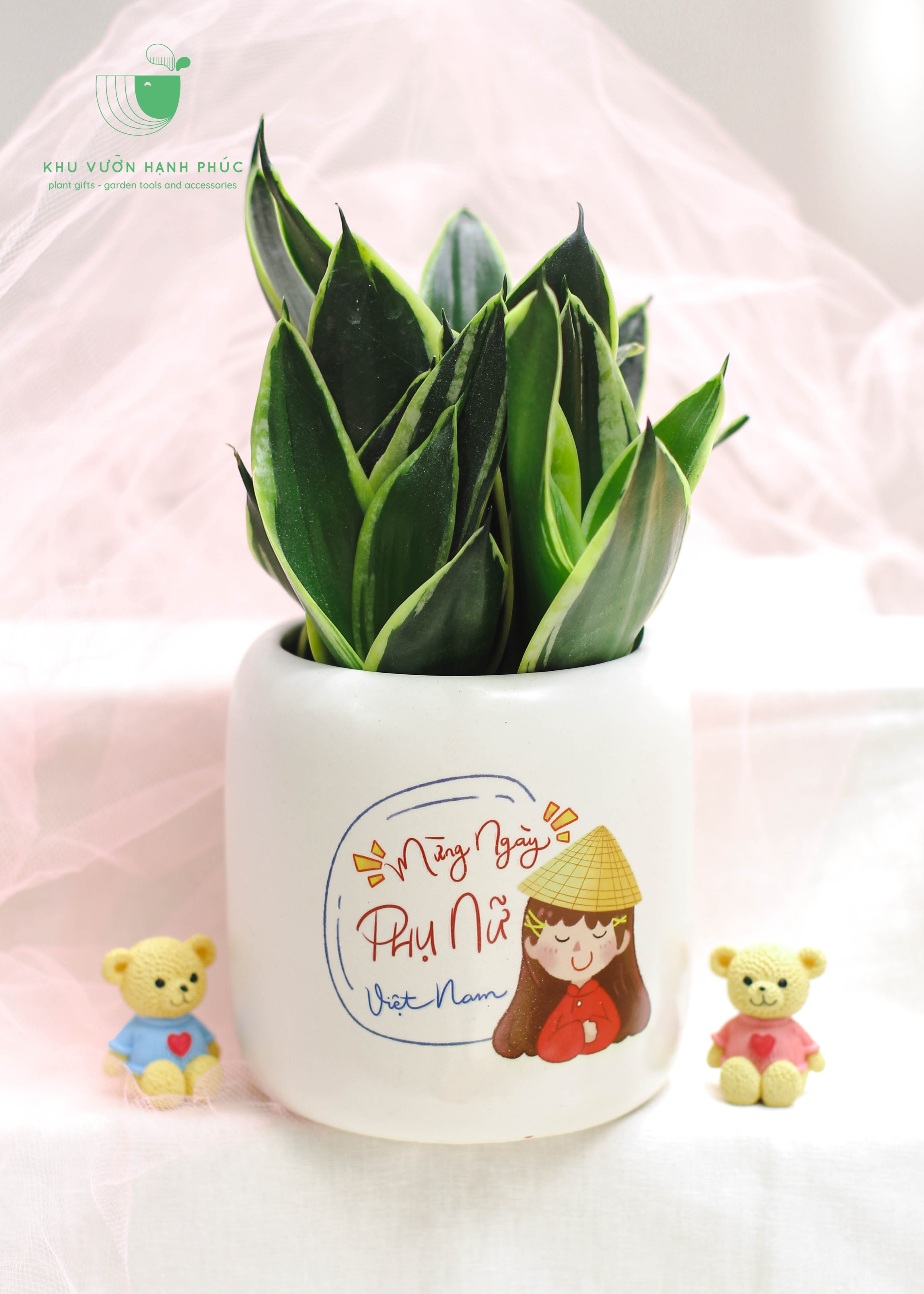 Ngày Phụ Nữ Việt Nam 20/10 - CHẬU IN VÀ CÂY XANH - Quà tặng doanh nghiệp