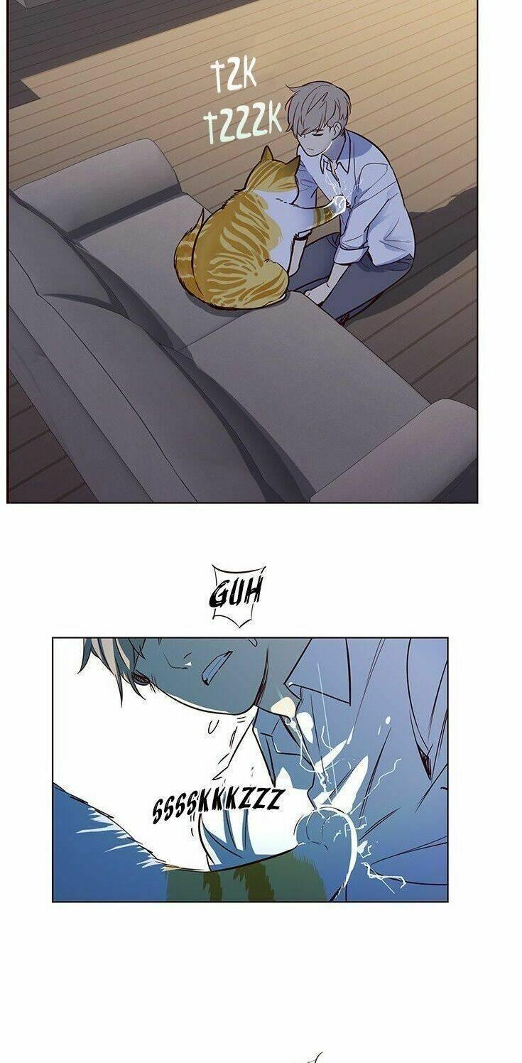 biến thân thành mèo chapter 8 48